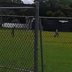 Bharat Mandir School Cricket Ground