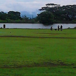 Degree College Cricket Ground
