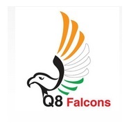 Q8 FALCON