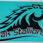 PAK STALLIONS