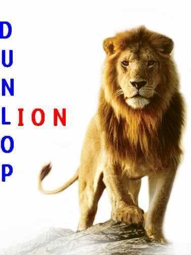 Dunlop Lions
