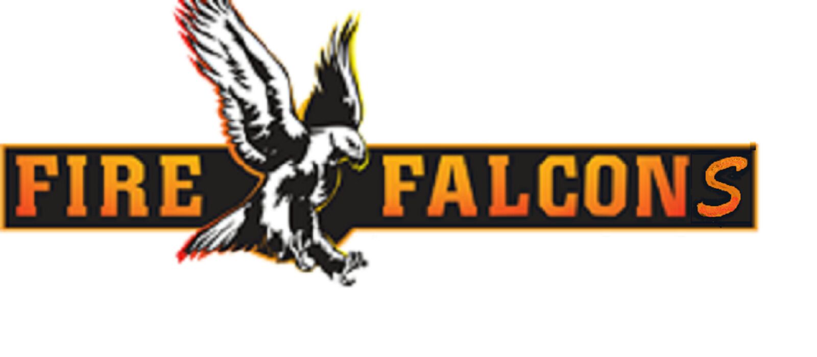 FIRE FALCONS